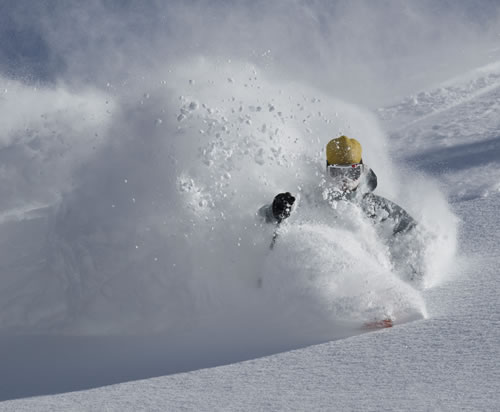 Alta & Snowbird Areas