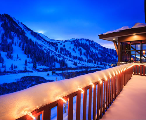 Reviews & Testimonials